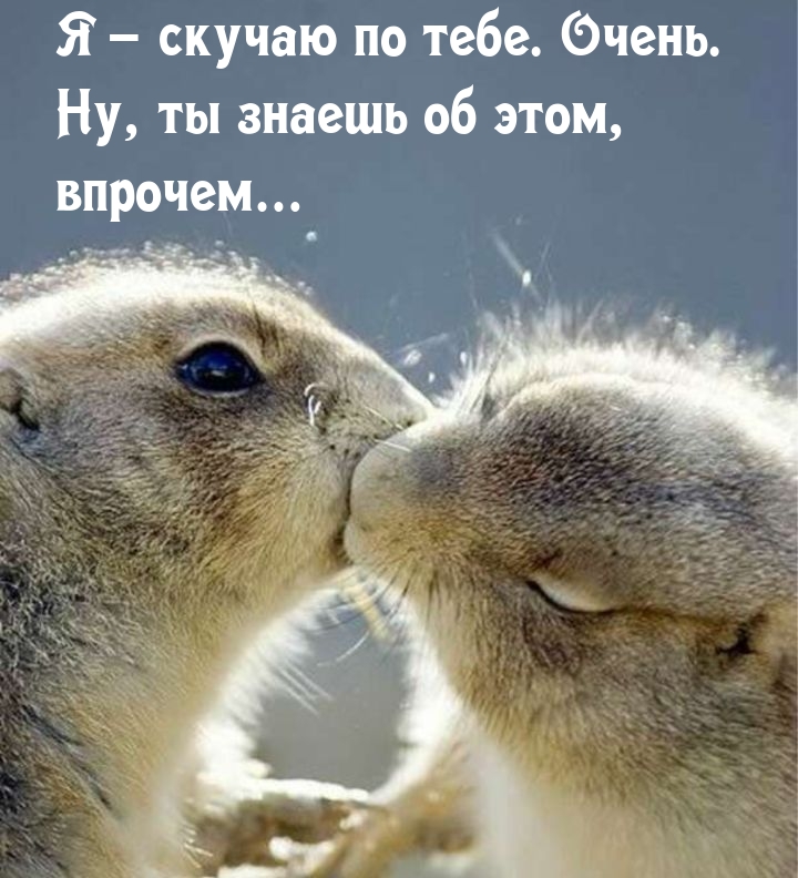 Я – скучаю по тебе. Очень. Ну, ты знаешь об этом, впрочем…