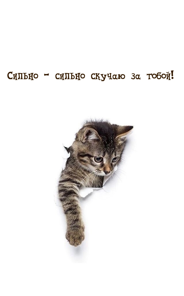 Сильно — сильно скучаю за тобой!