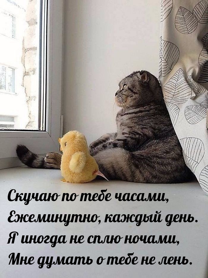 Скучаю по тебе часами, ежеминутно, каждый день.