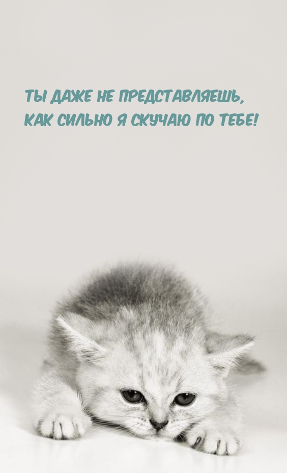 Ты даже не представляешь, как сильно я скучаю по тебе!