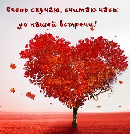 Очень скучаю, считаю часы до нашей встречи!