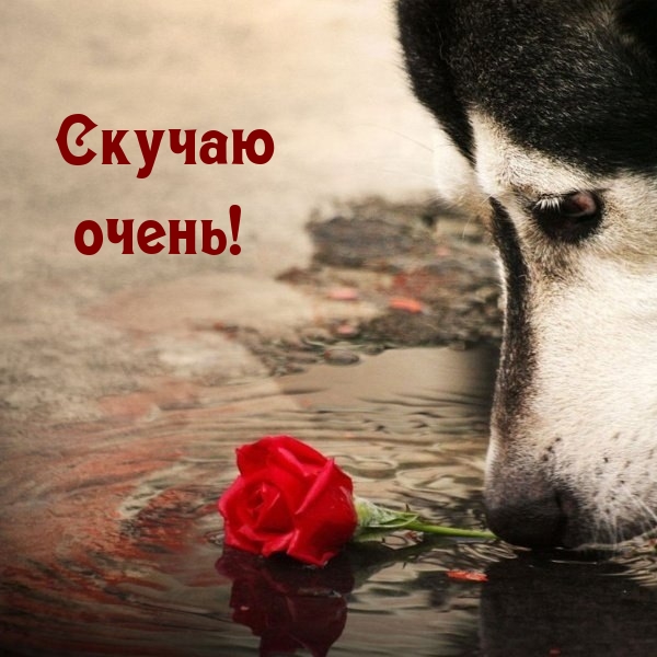 Скучаю очень!