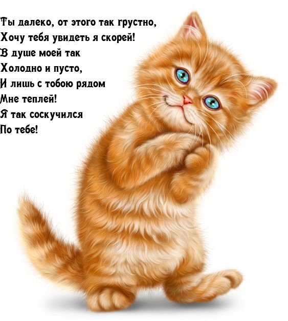 Ты далеко, от этого так грустно, хочу тебя увидеть я скорей!