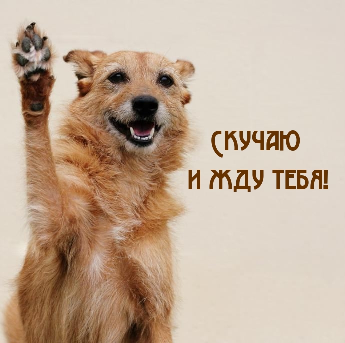Скучаю и жду тебя!