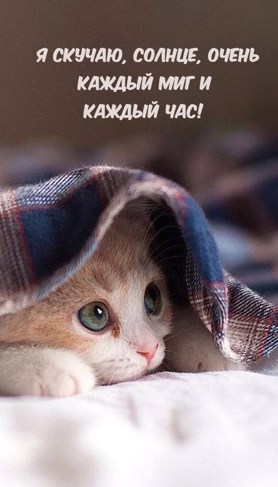 Я скучаю, солнце, очень каждый миг и каждый час!