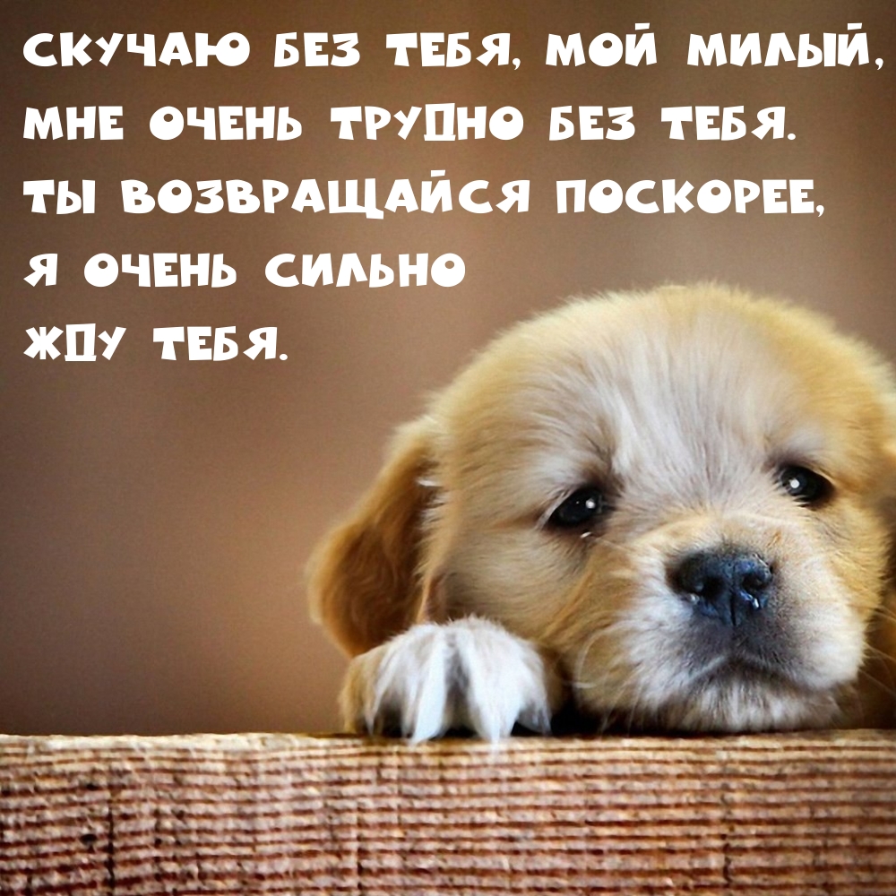 Скучаю без тебя, мой милый, мне очень трудно без тебя.