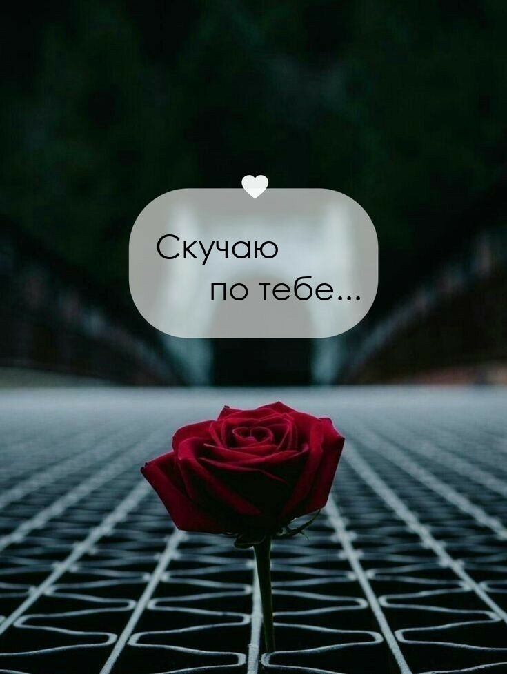 Скучаю по тебе…