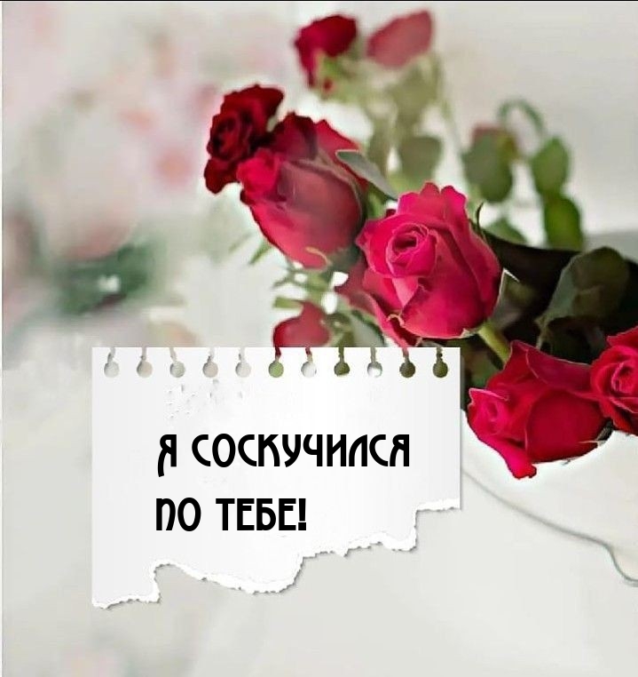 Я соскучился по тебе!
