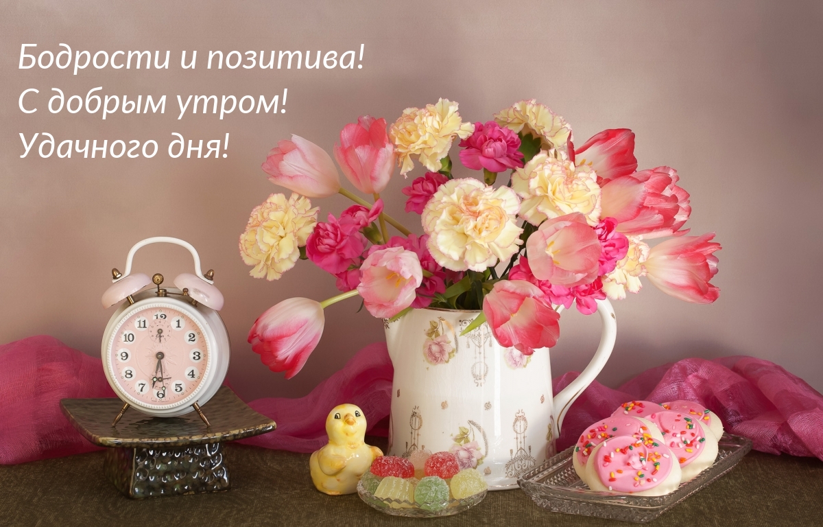 Бодрости и позитива! С добрым утром! Удачного дня!