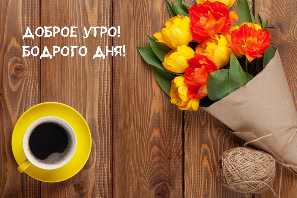 Доброе утро! Бодрого дня!