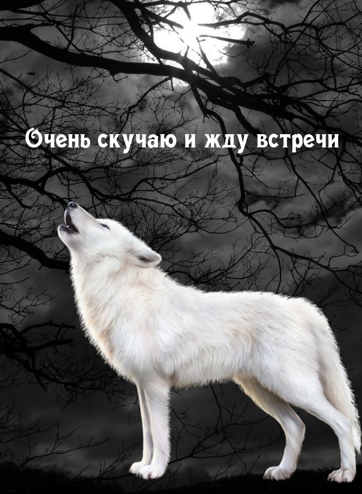Очень скучаю и жду встречи