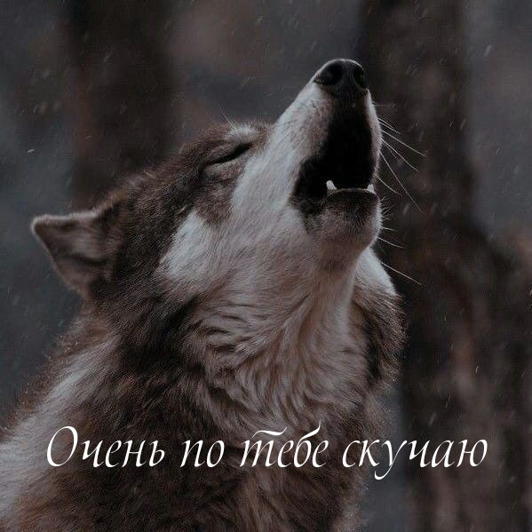 Очень по тебе скучаю