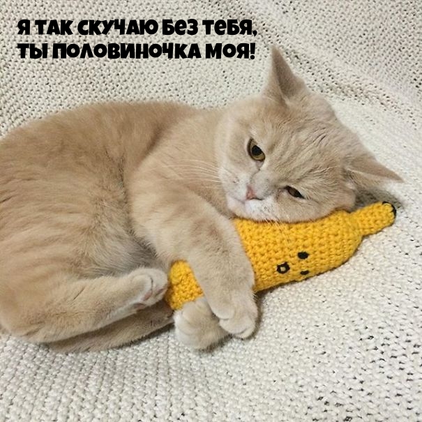 Я так скучаю без тебя, Ты половиночка моя!