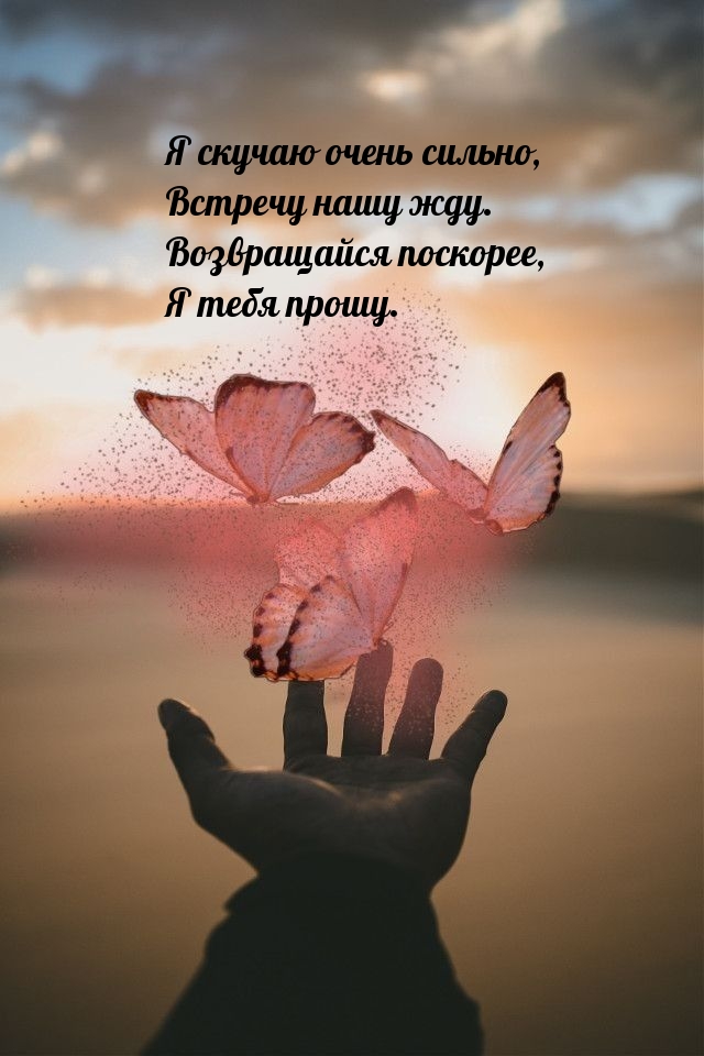 Я скучаю очень сильно, встречу нашу жду.