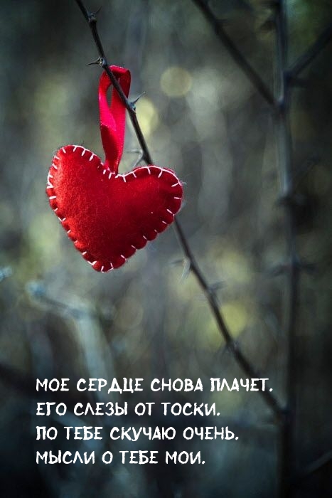 Мое сердце снова плачет. Его слезы от тоски.