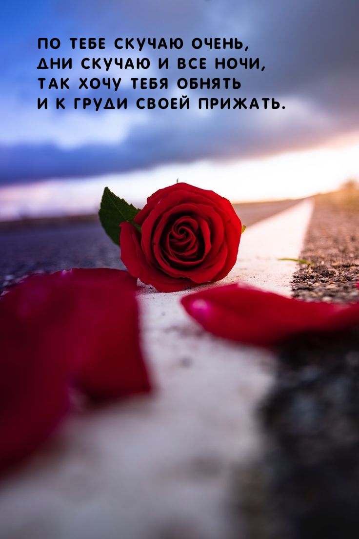 По тебе скучаю очень, дни скучаю и все ночи