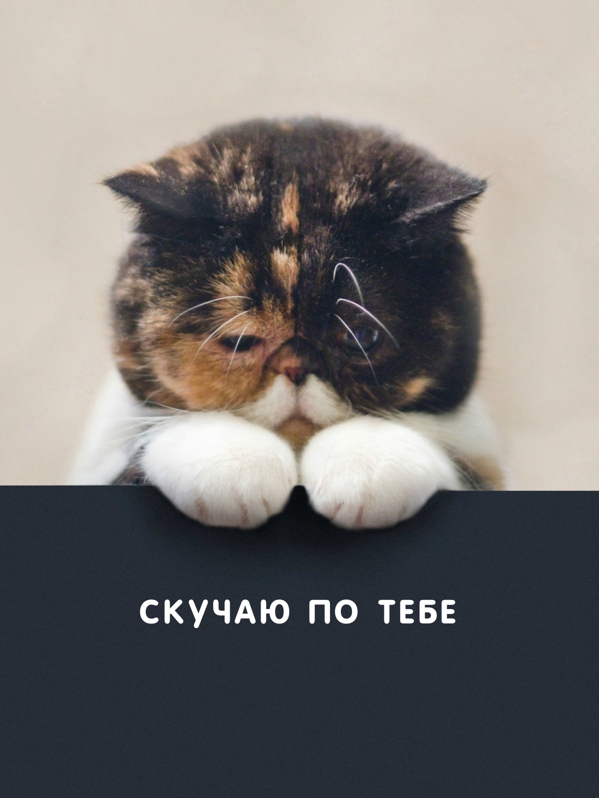 Скучаю по тебе