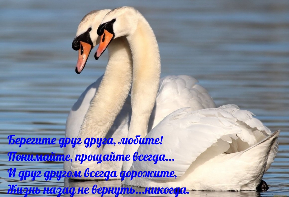 Берегите друг друга, любите! Понимайте, прощайте всегда…