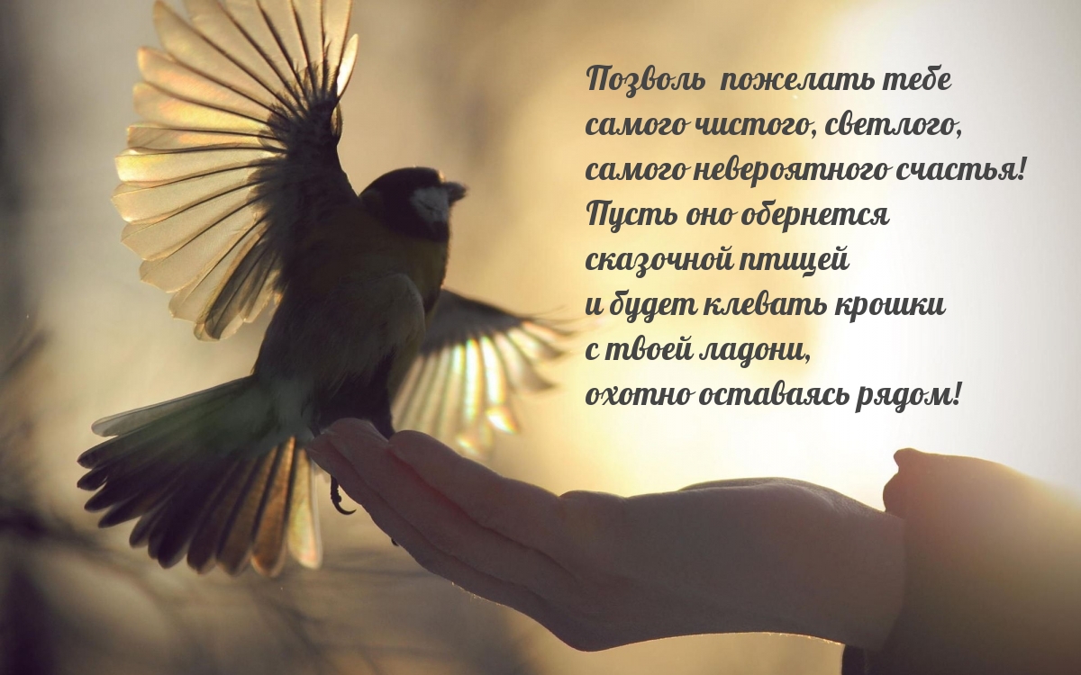 Позволь пожелать тебе самого чистого, светлого