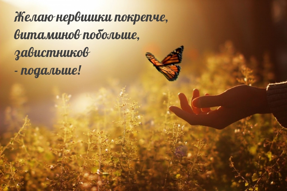 Желаю нервишки покрепче, витаминов побольше
