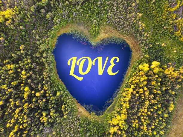 LOVE