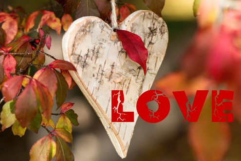 LOVE
