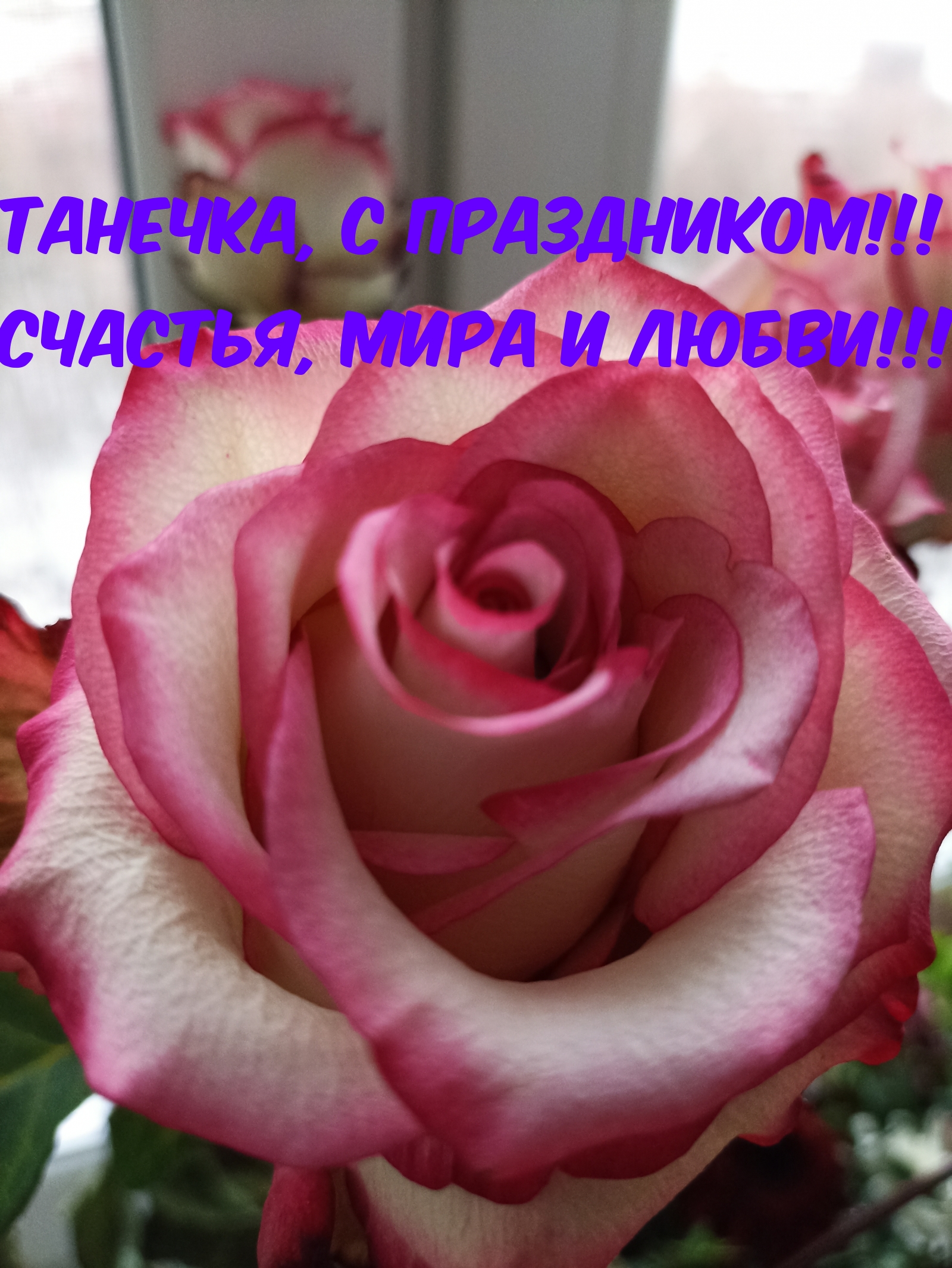 Танечка, с праздником! Счастья, мира и любви!