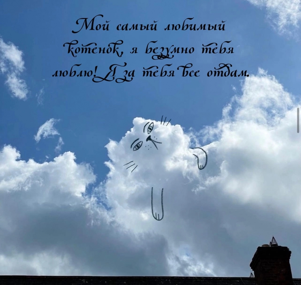 Мой самый любимый котенок, я безумно тебя люблю!