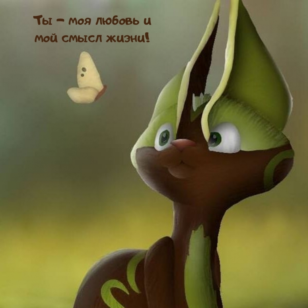 Ты — моя любовь и мой смысл жизни!