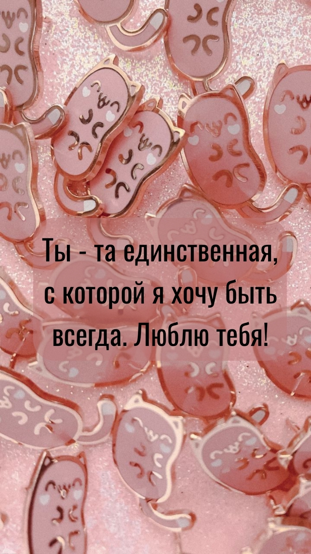 Ты — та единственная, с которой я хочу быть всегда. Люблю тебя!
