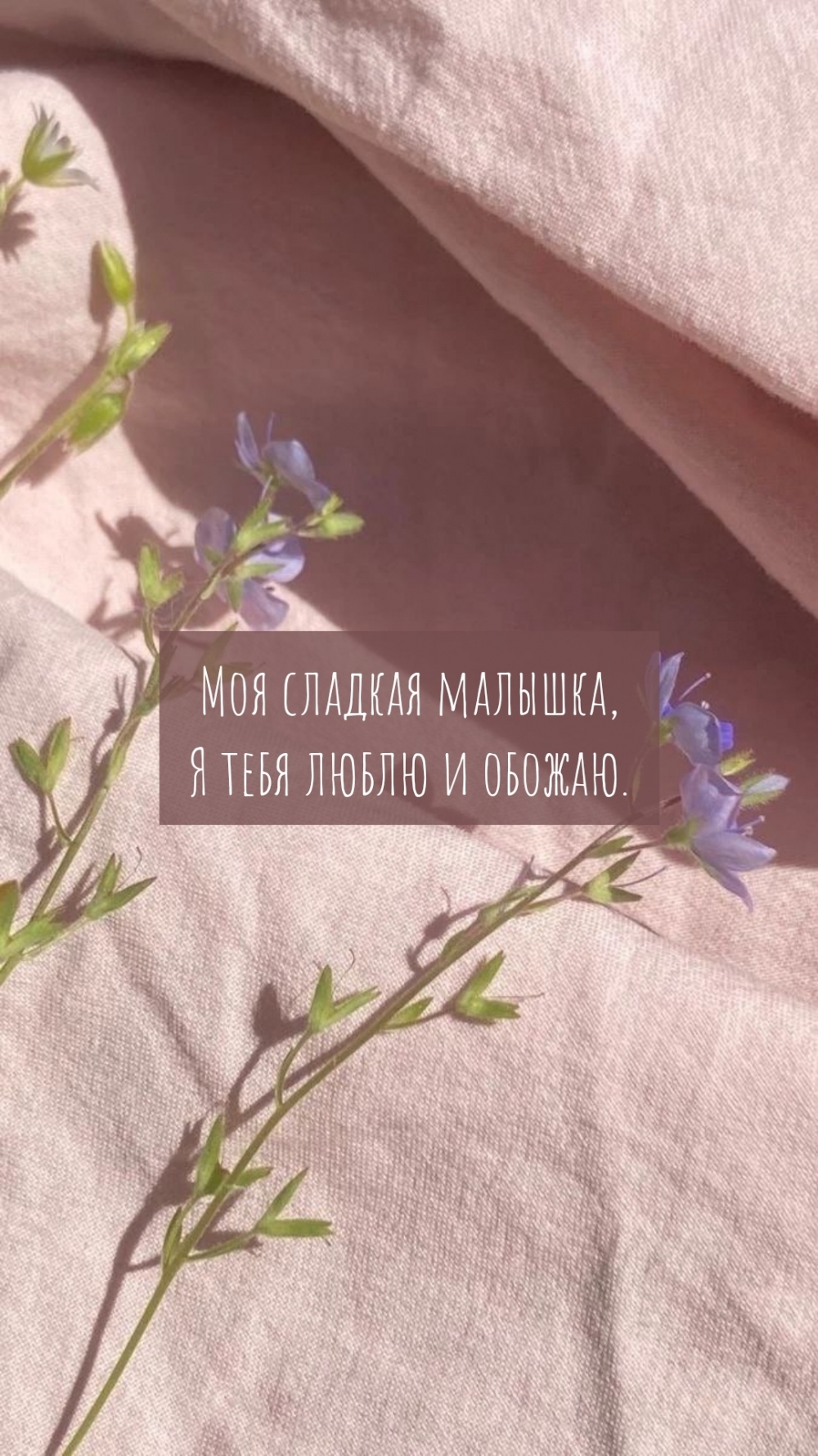 Моя сладкая малышка, Я тебя люблю и обожаю.