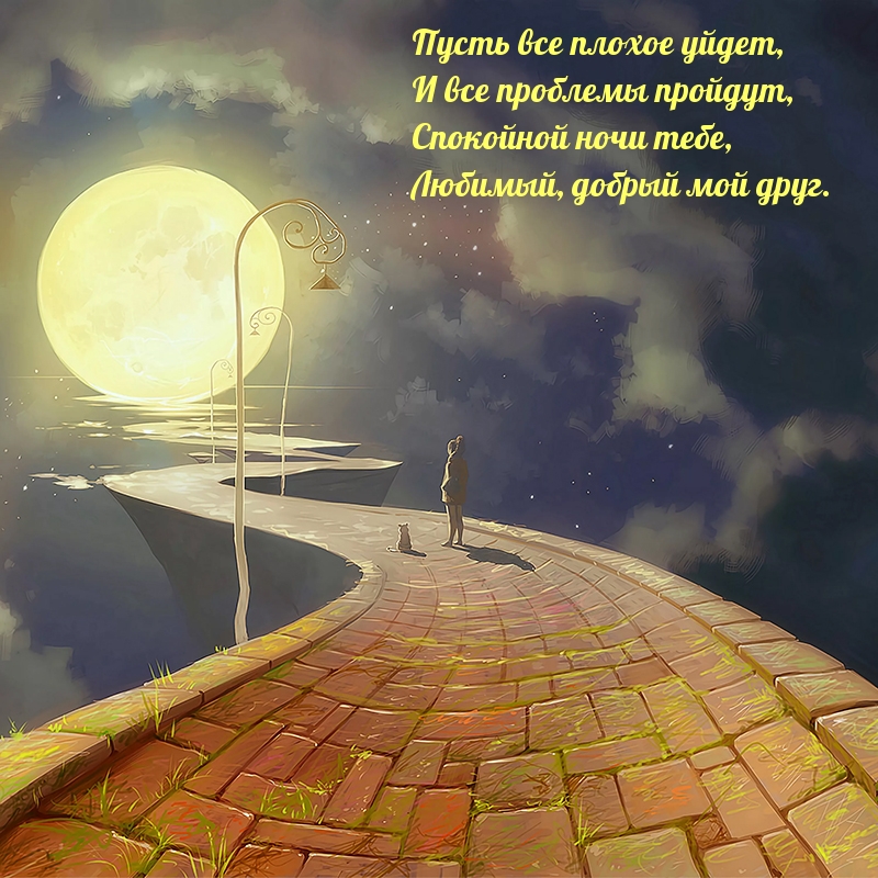 Спокойной ночи тебе, любимый, добрый мой друг