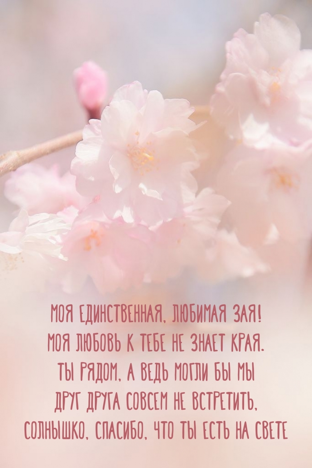 Моя единственная, любимая Зая! Моя любовь к тебе не знает края.
