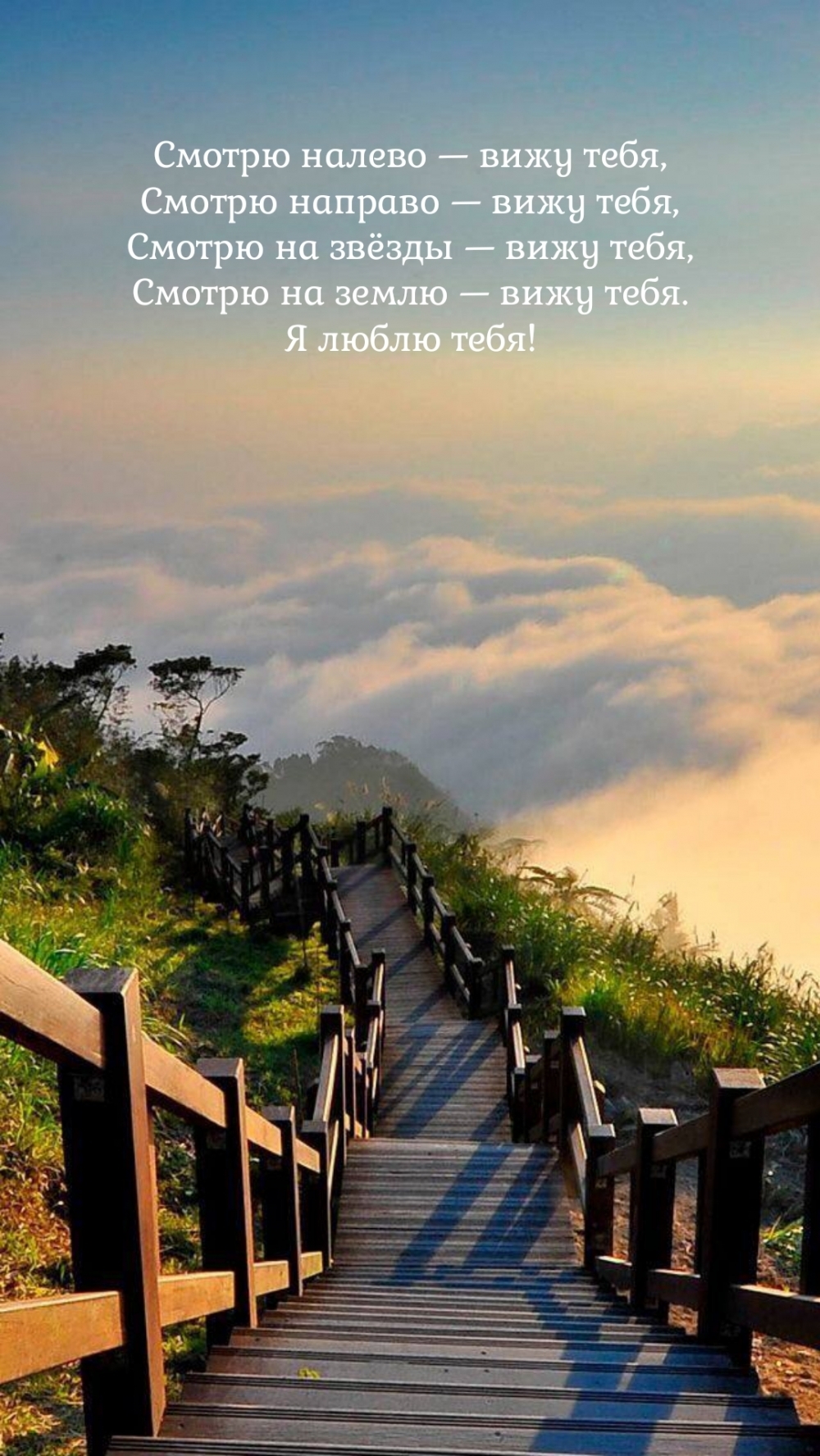 Смотрю налево — вижу тебя, Смотрю направо — вижу тебя