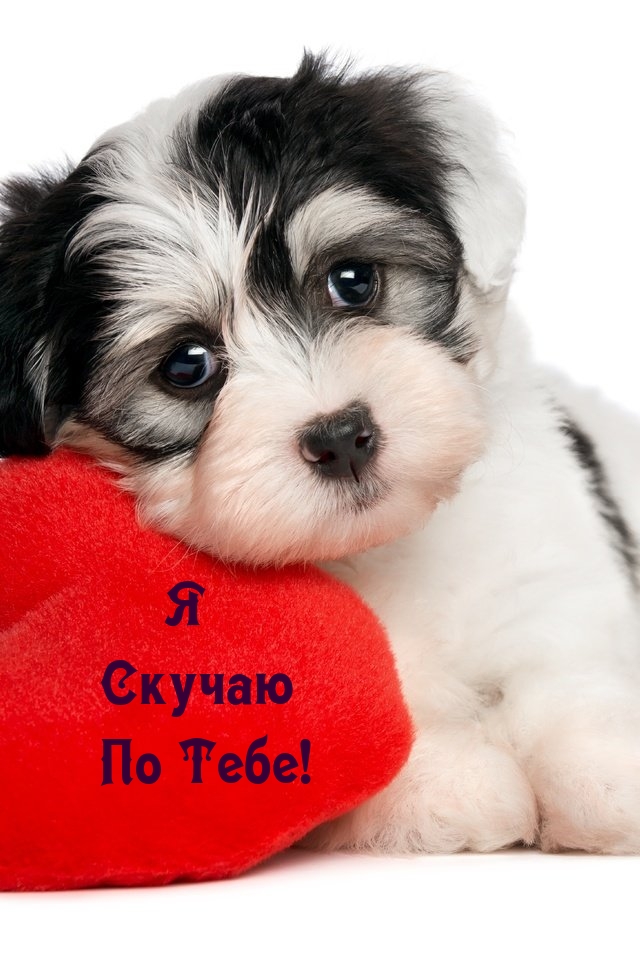 Я Скучаю По Тебе!