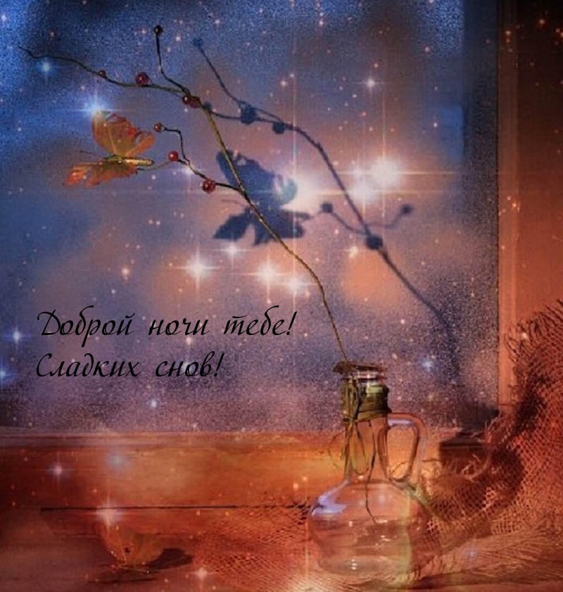 Доброй ночи тебе! Сладких снов!