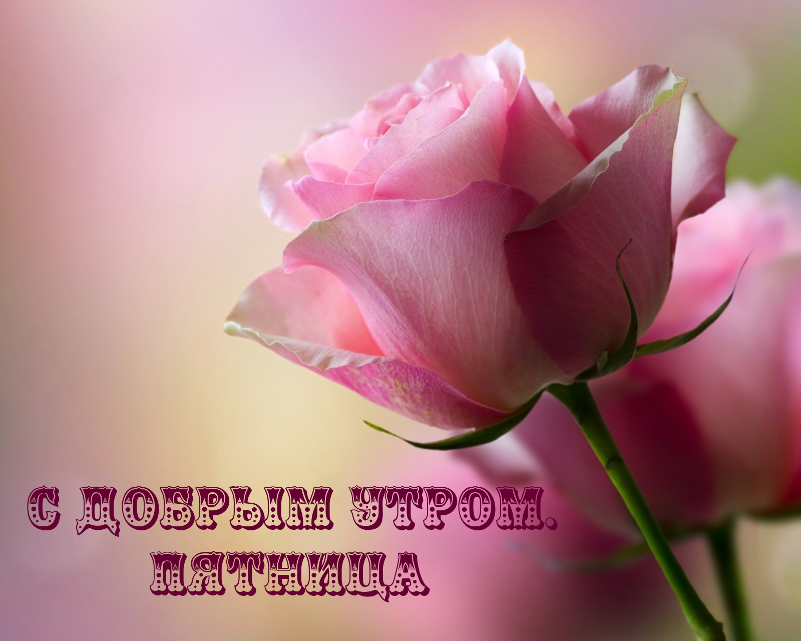 С добрым утром. Пятница