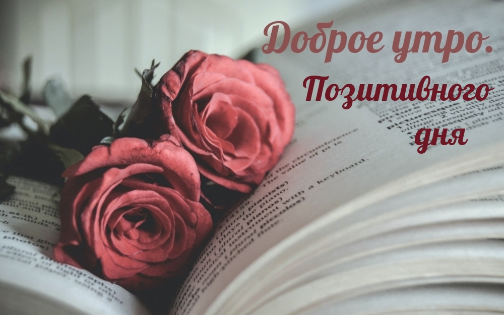 Доброе утро. Позитивного дня