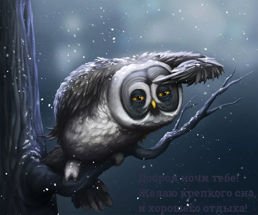 Доброй ночи тебе! Желаю крепкого сна, и хорошего отдыха!