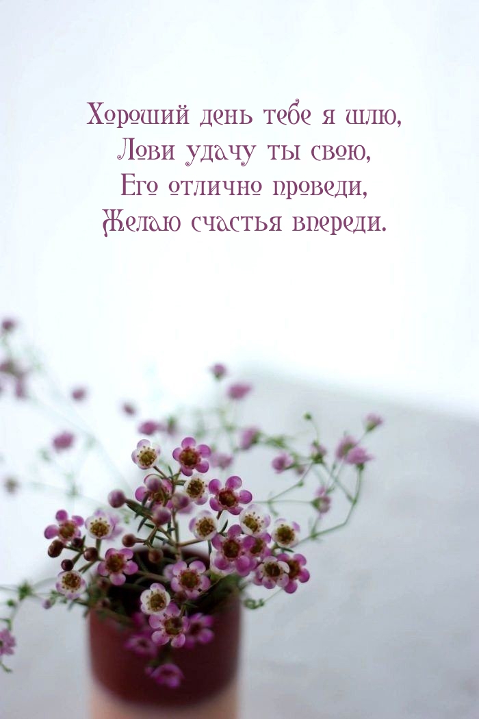 Хороший день тебе я шлю, лови удачу ты свою, его отлично проведи