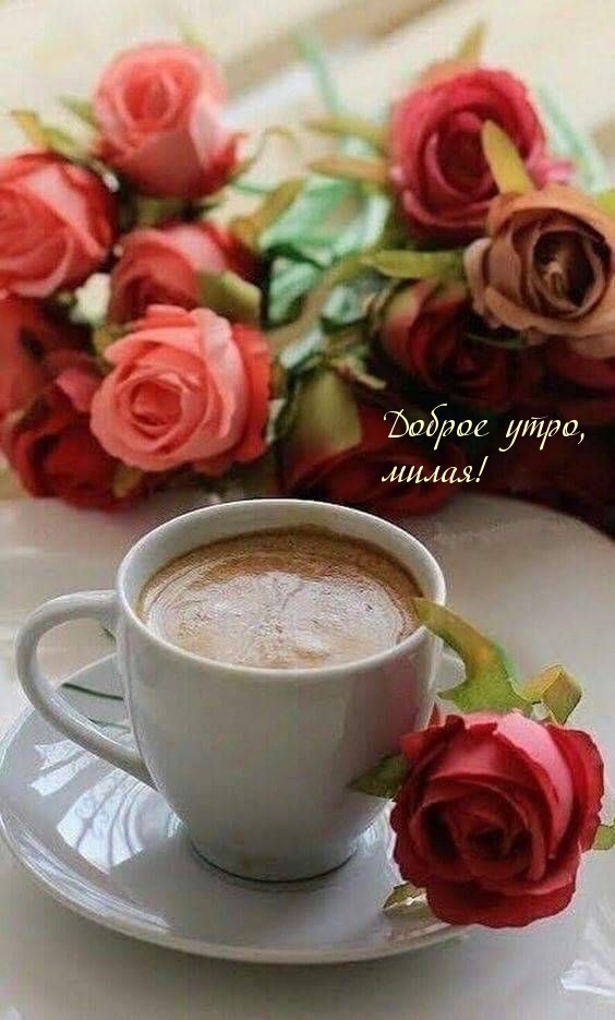Доброе утро, милая!