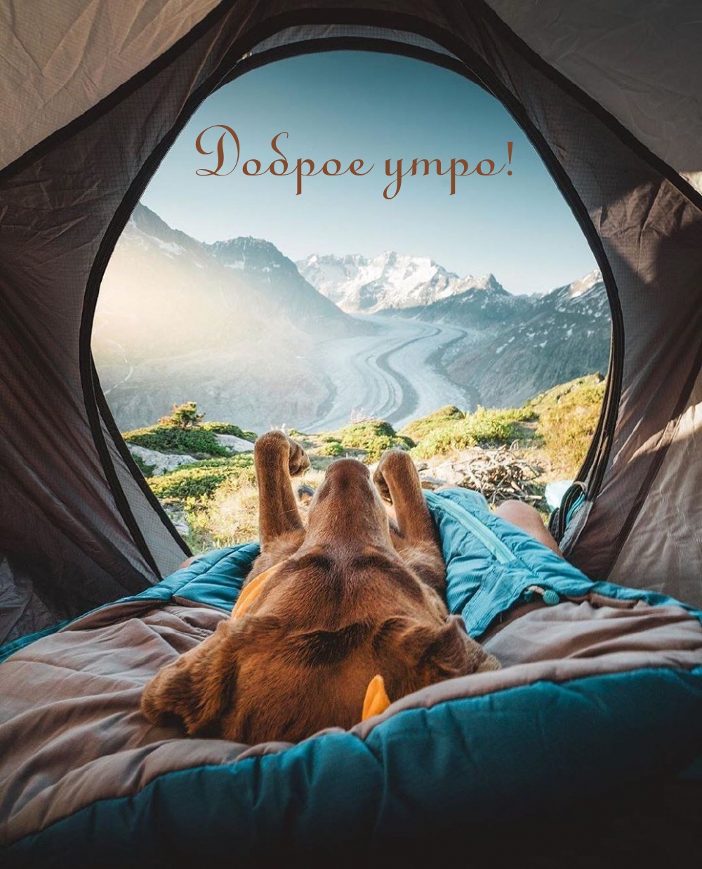 Доброе утро!