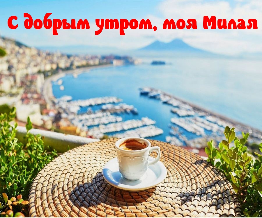 С добрым утром, моя Милая