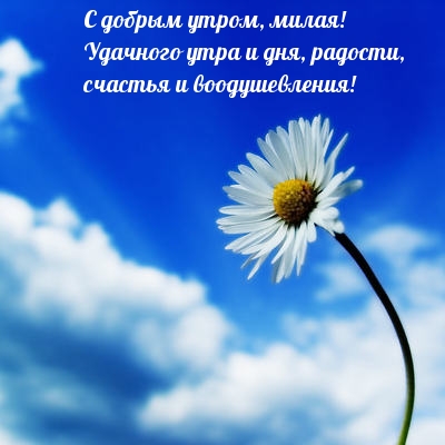С добрым утром, милая! Удачного утра и дня!