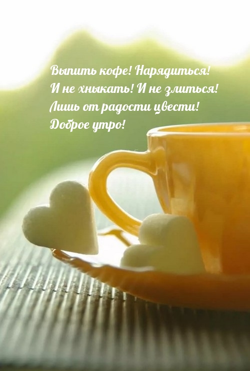 Выпить кофе! Нарядиться! И не хныкать!