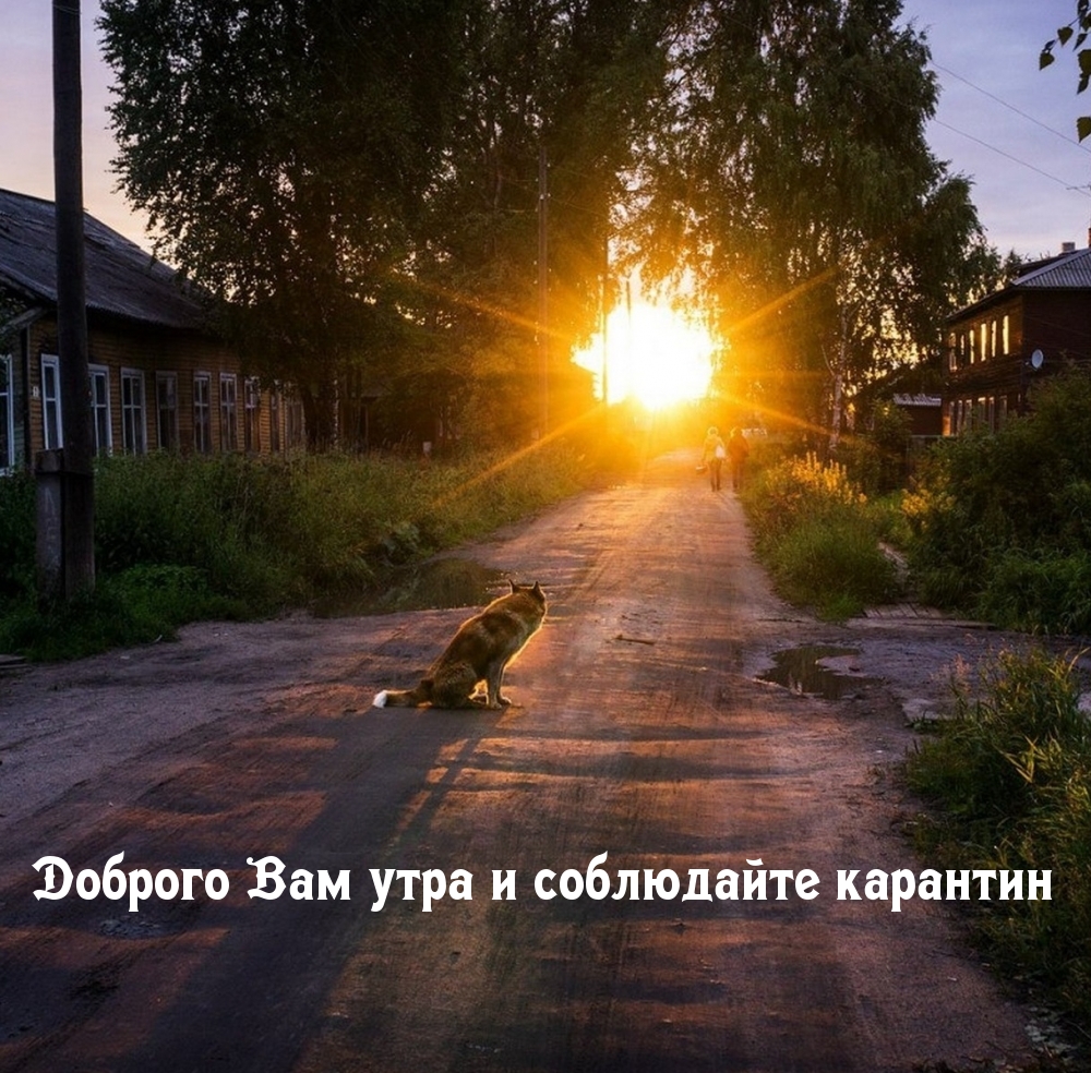 Доброго Вам утра и соблюдайте карантин