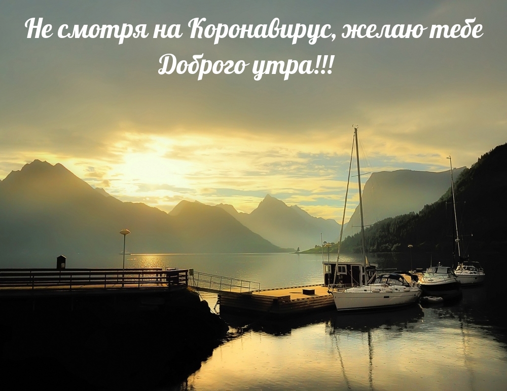 Не смотря на Коронавирус, желаю тебе Доброго утра!
