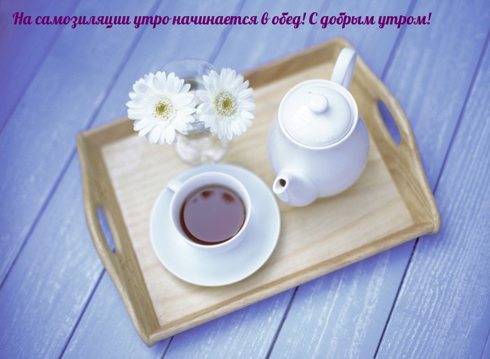 На самозиляции утро начинается в обед! С добрым утром!