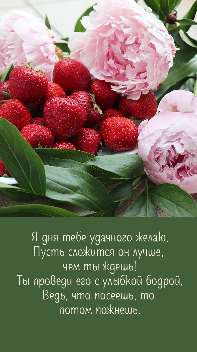 Я дня тебе удачного желаю, пусть сложится он лучше, чем ты ждешь!