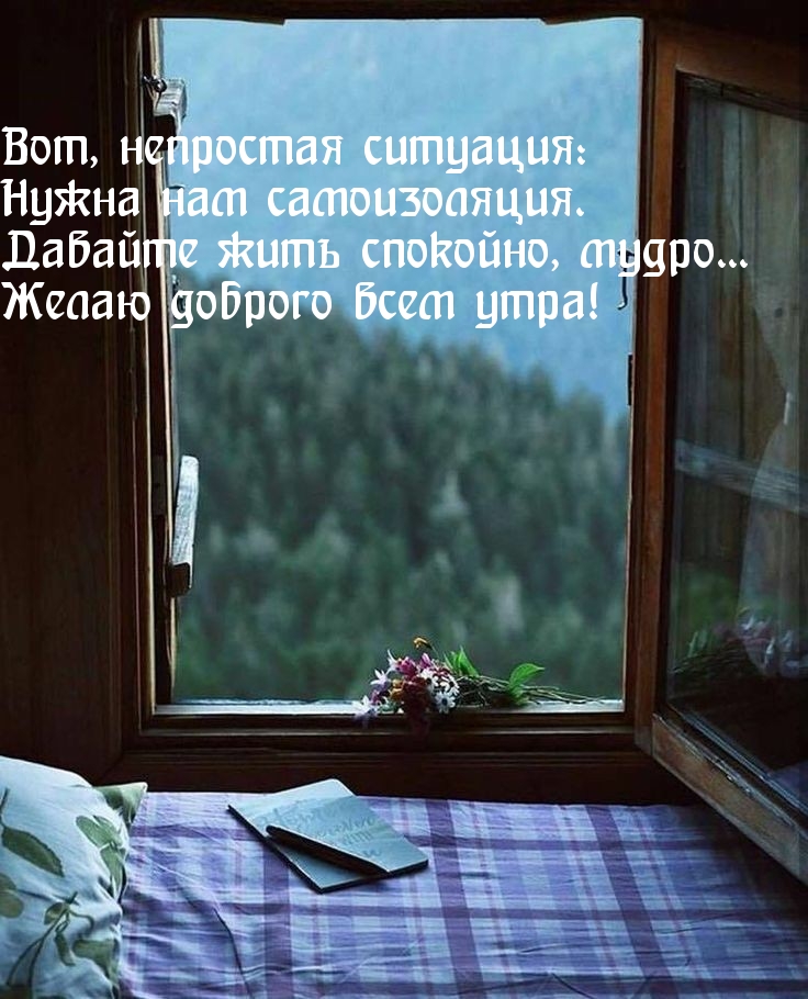 Вот, непростая ситуация: Нужна нам самоизоляция